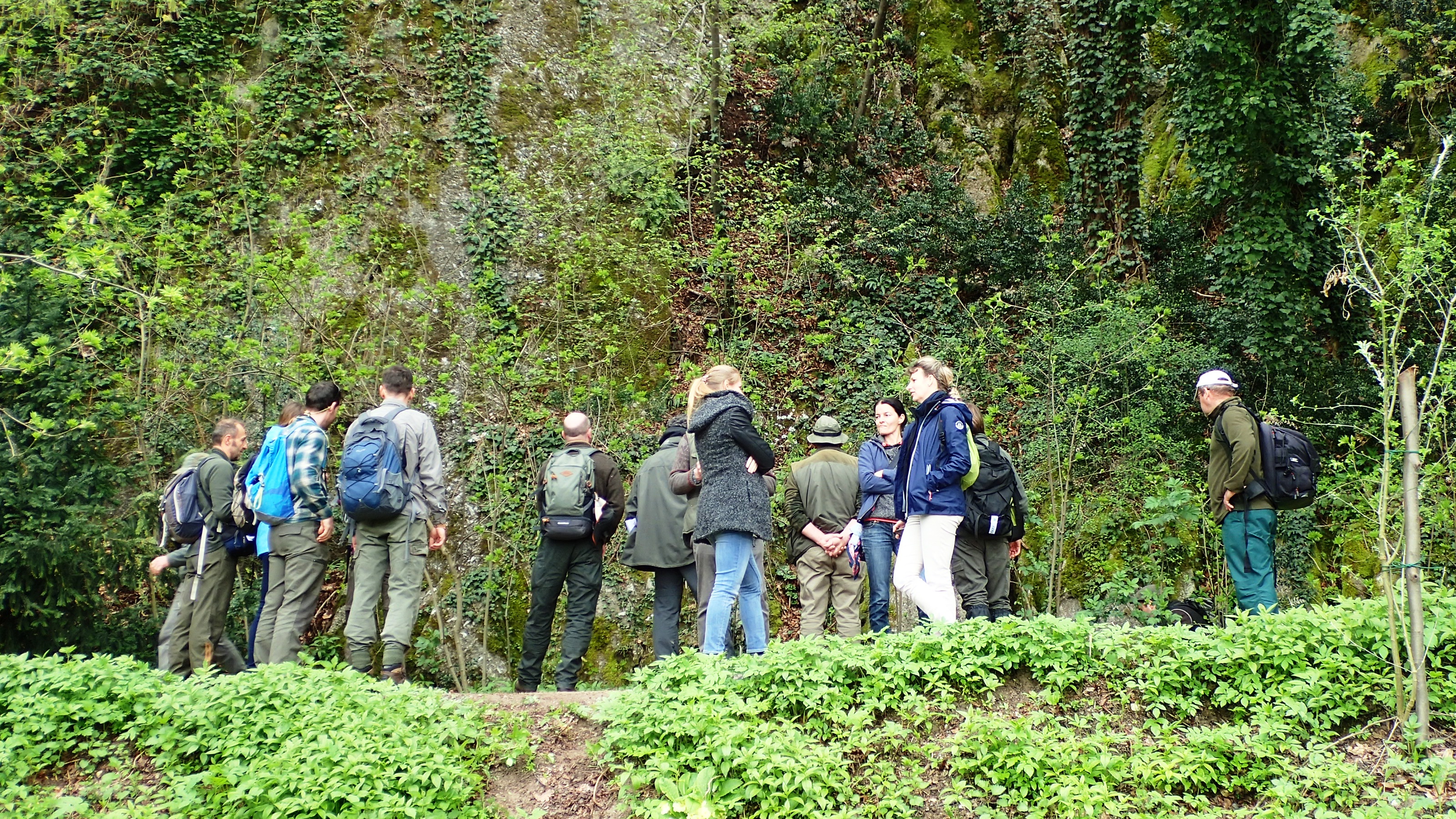 Monitoring visit in Carne and Monte Mauro