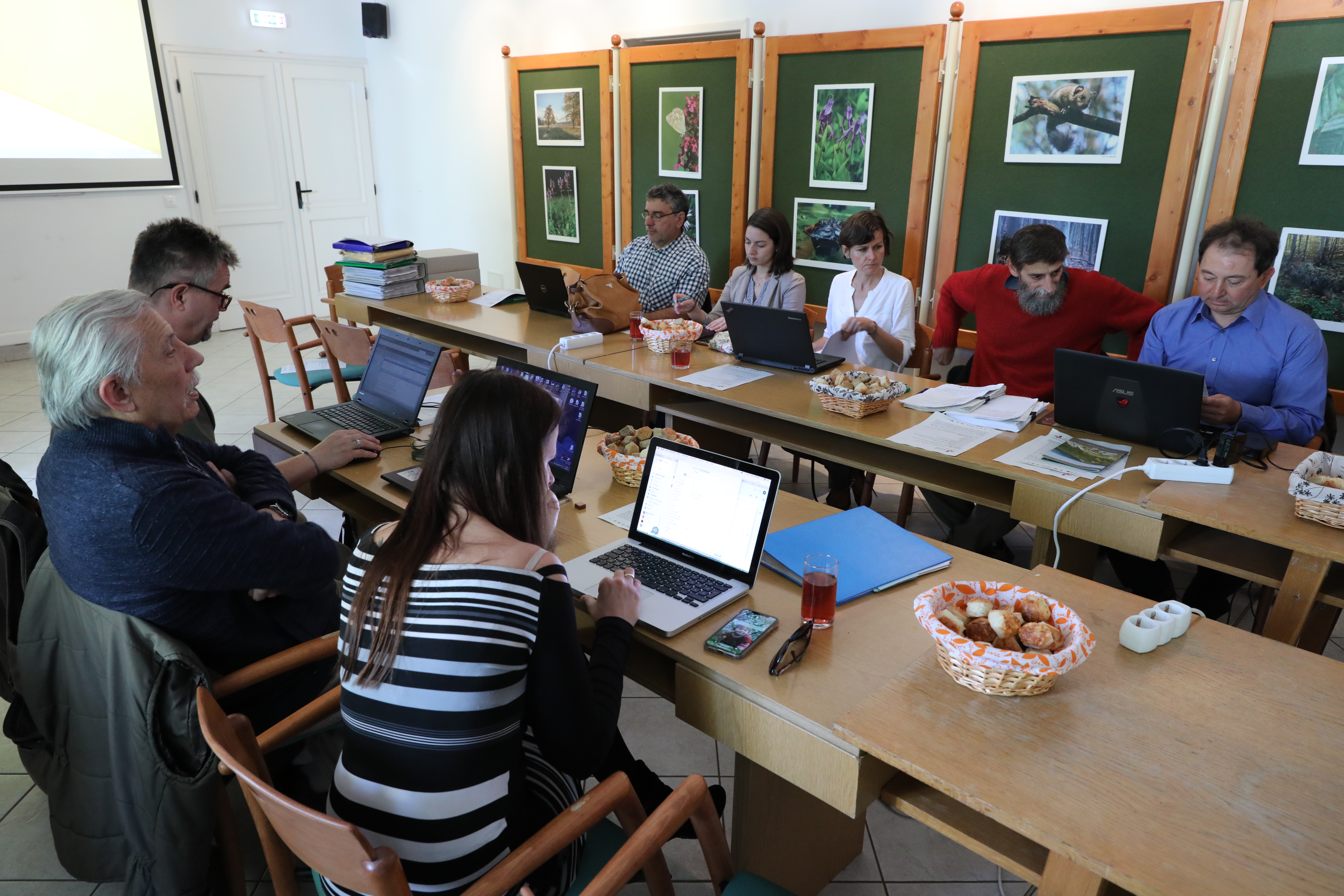 Second annual project meeting at Felsőtárkány