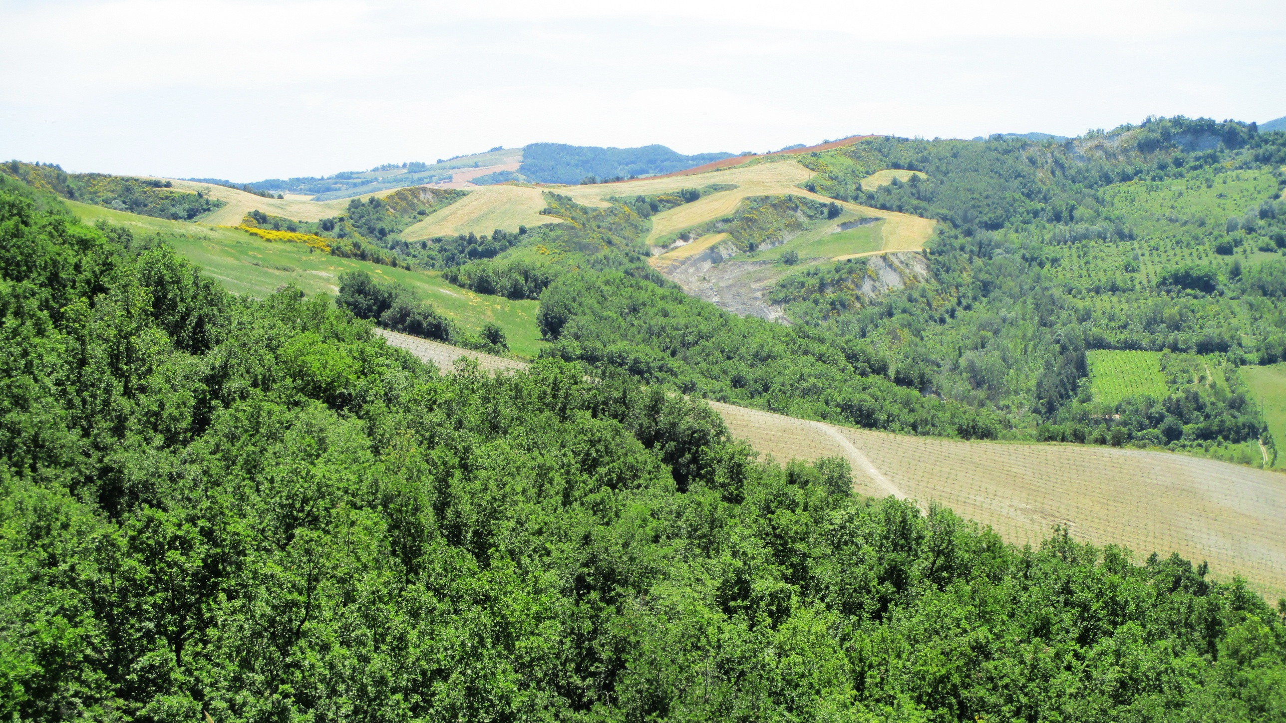 Monitor Protocol Meeting in Parco Vena del Gesso between MAR, MTA-ÖK and FENCON Ltd.