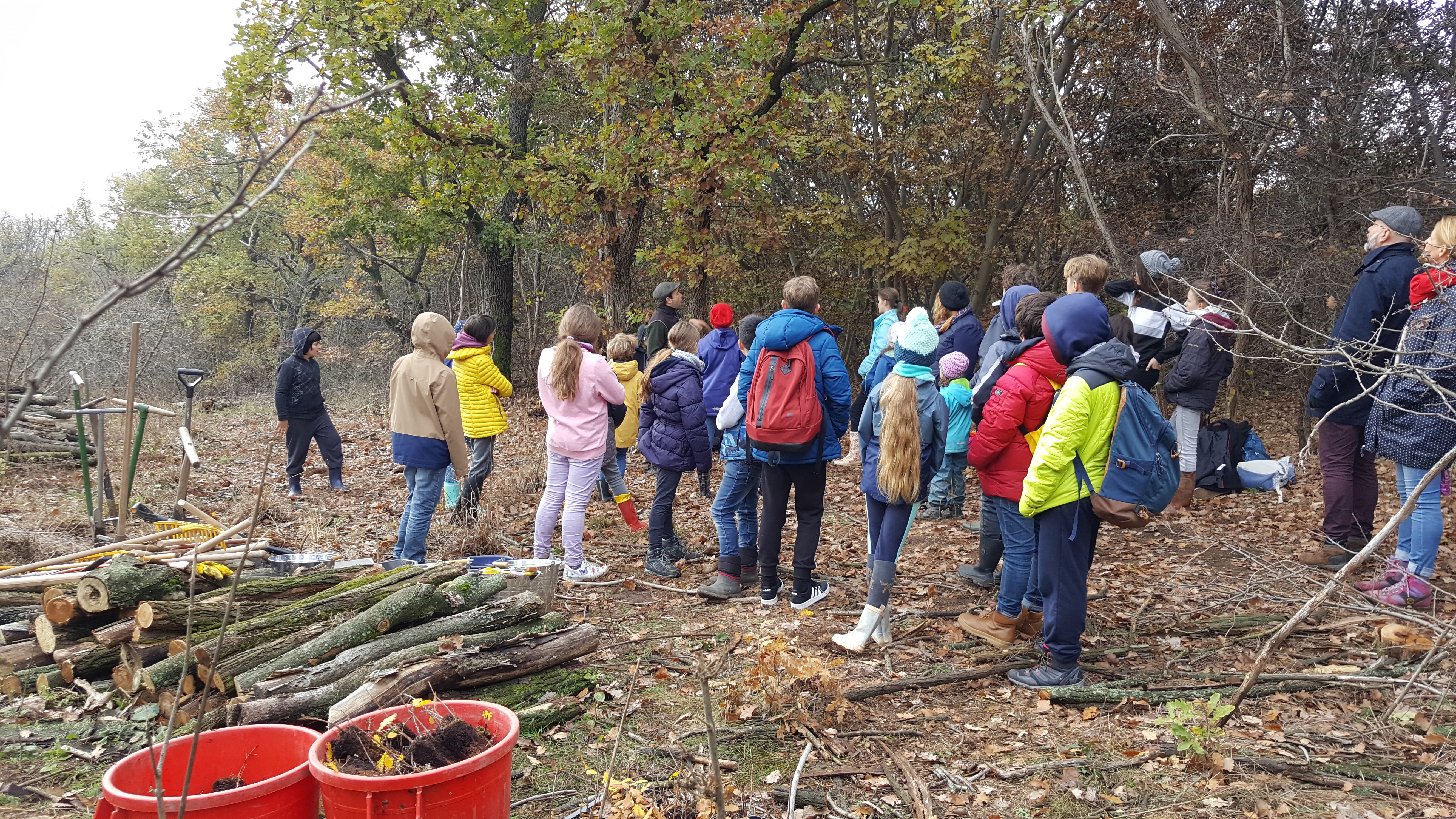 Volunteer days in Fóti-Somlyó