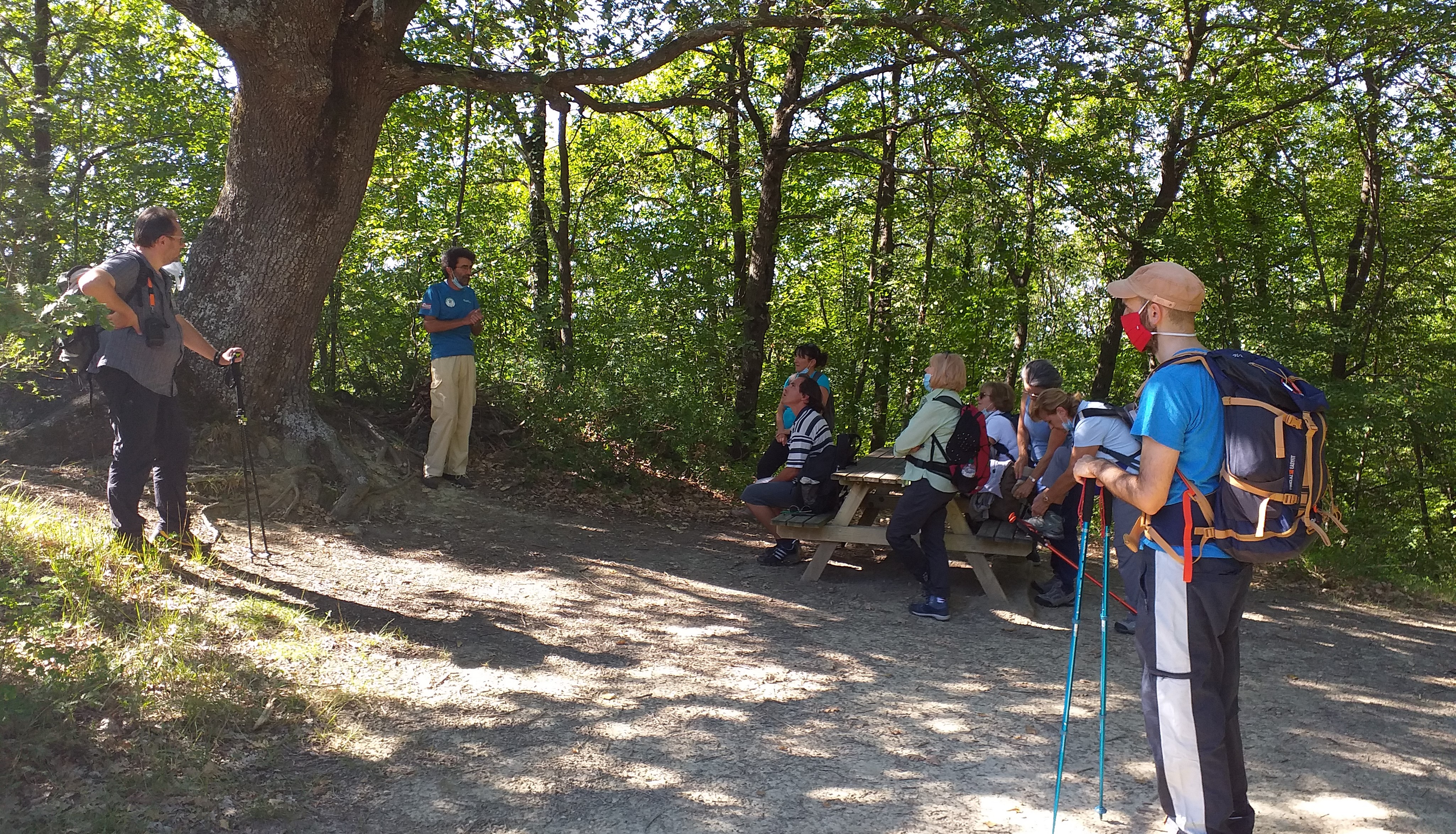 Forest Day in the Gypsum Vein Regional Park