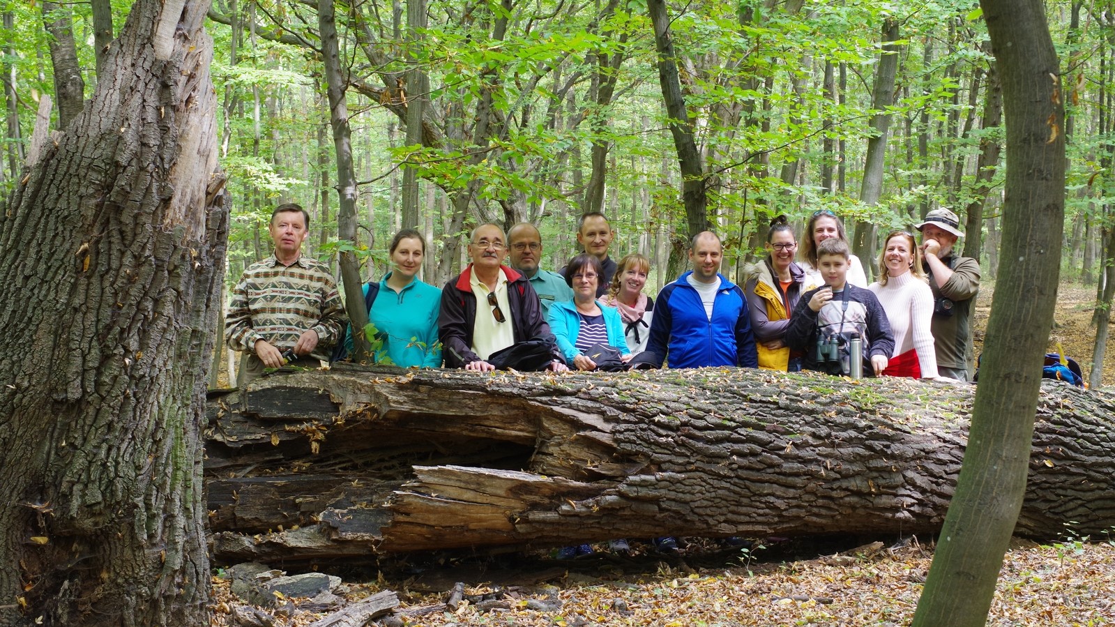 An Excursion in the Oak Forests