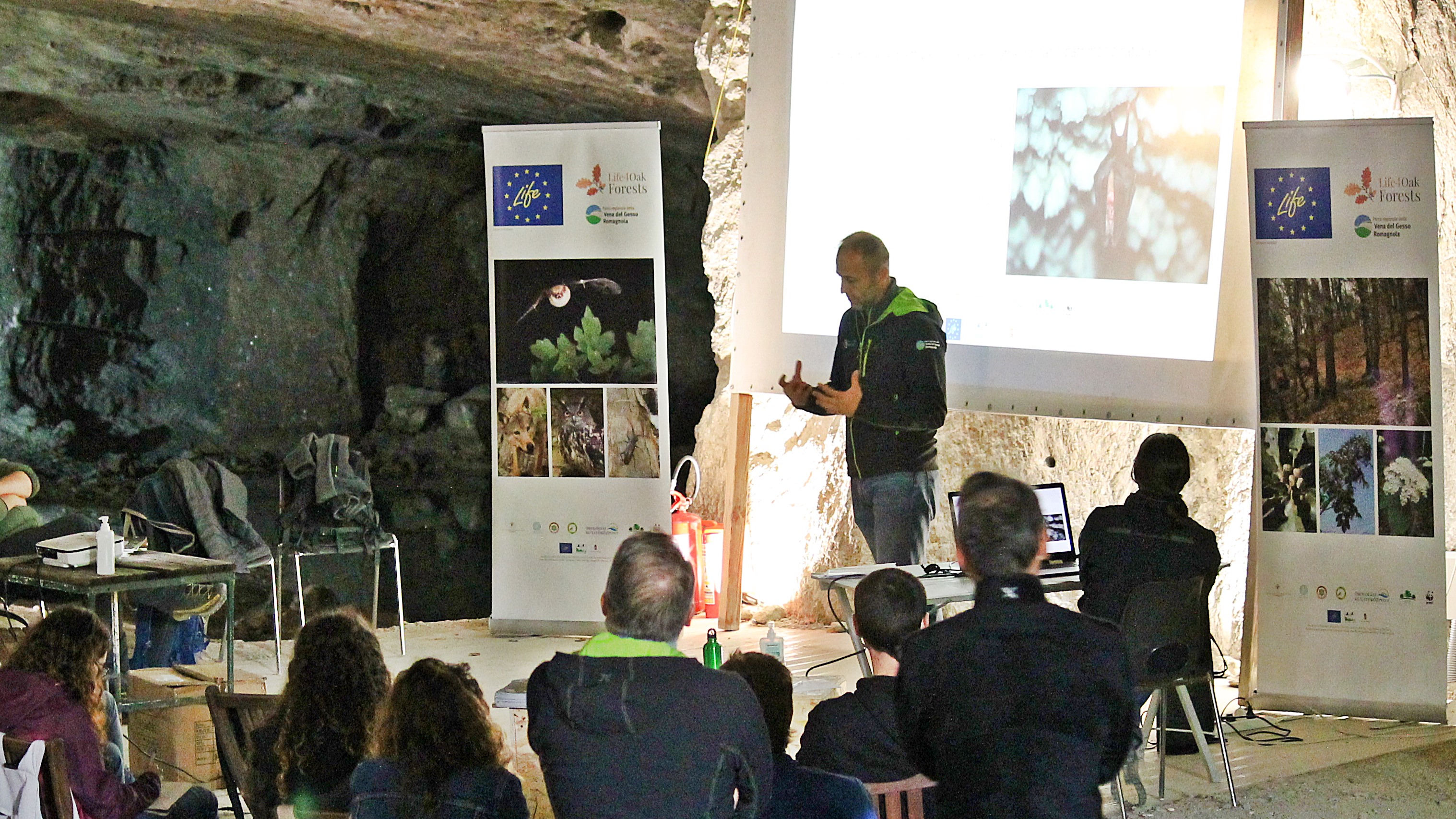 Forum of Life4OakForests in the Ex Cava Marana