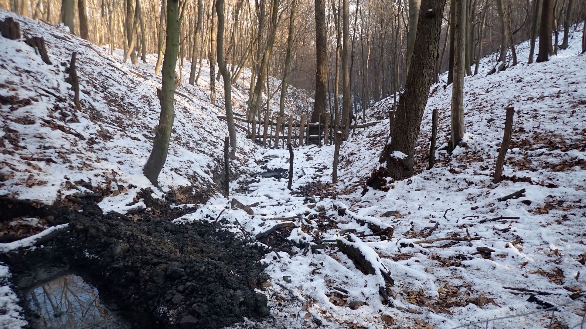 Development of wetlands in oak forests near Drégely Castle  and Kámor-Hill