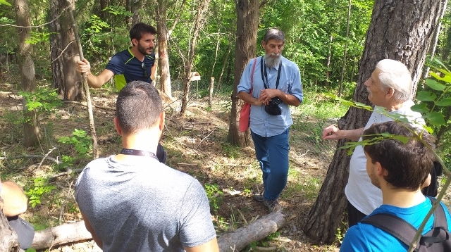 Inspection of Life 4Oak Forests by the monitoring expert, Italy