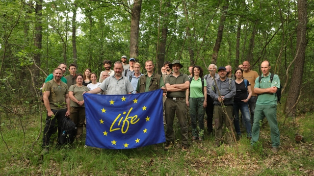 Close-to-Nature Forest Management and Climage-Smar Forest Management in the Börzsöny Mountains