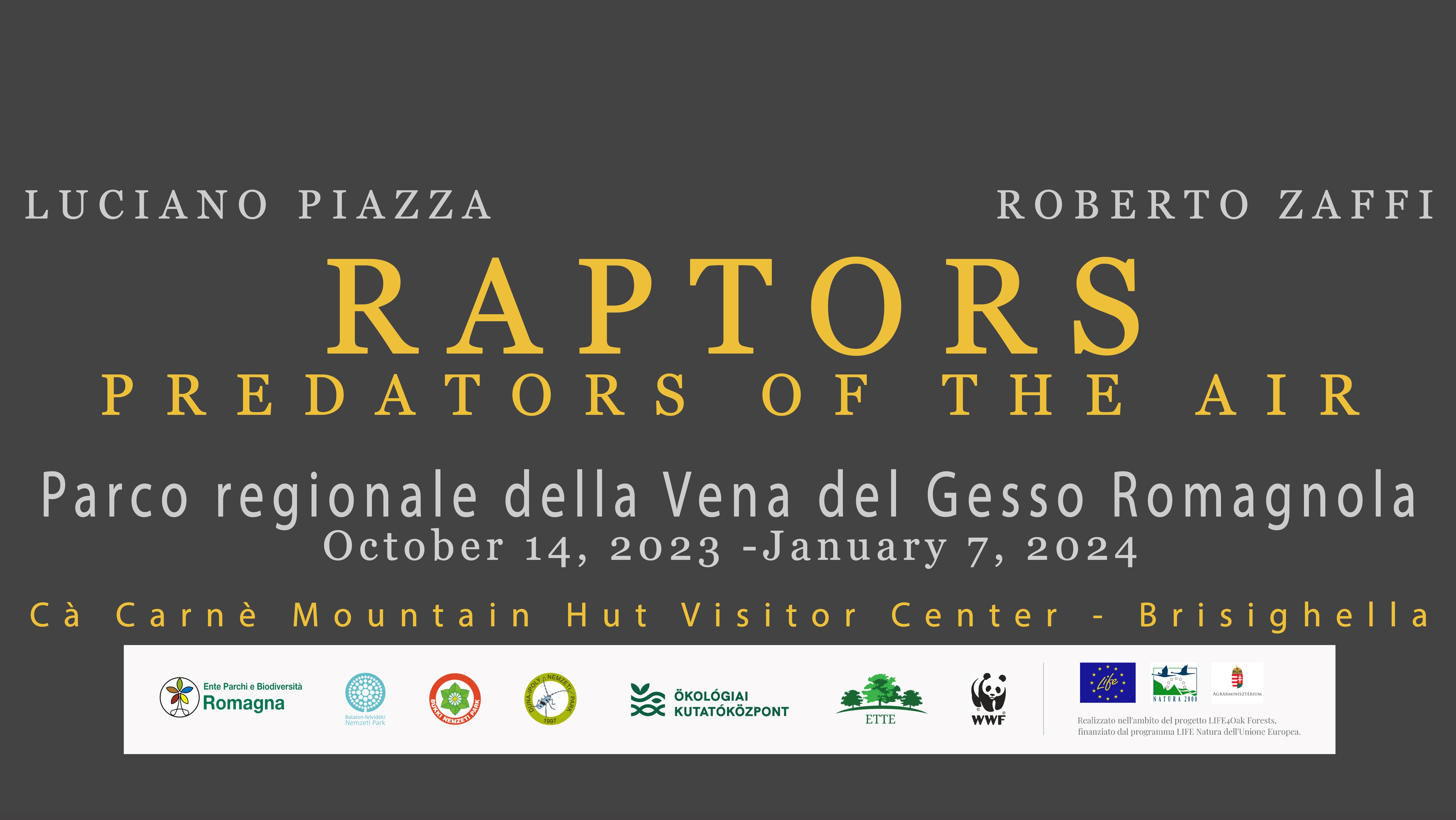 Raptors Photographic exhibition