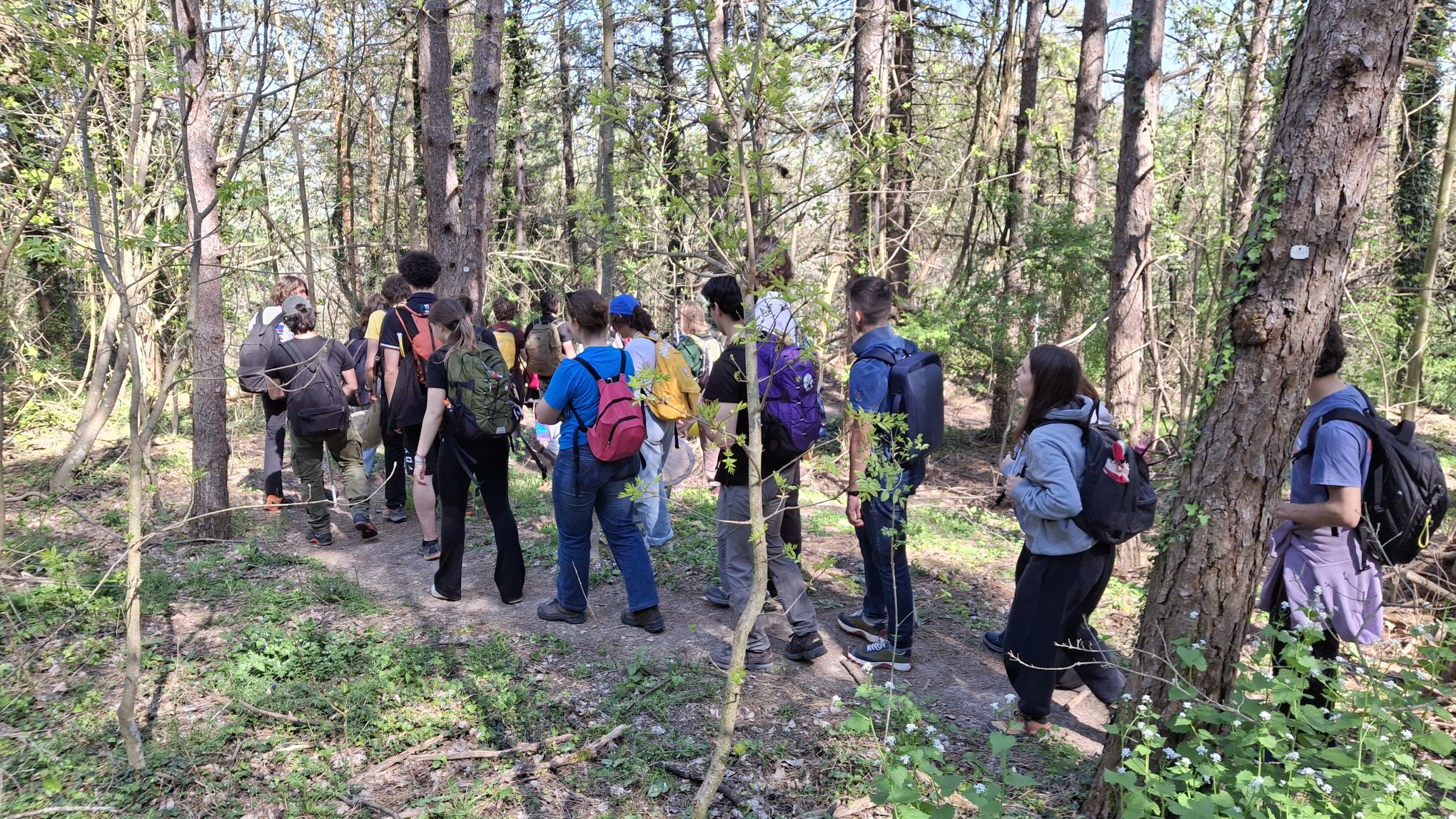 Two Days in Nature: University of Bologna Students Explore the Life4OakForests Project