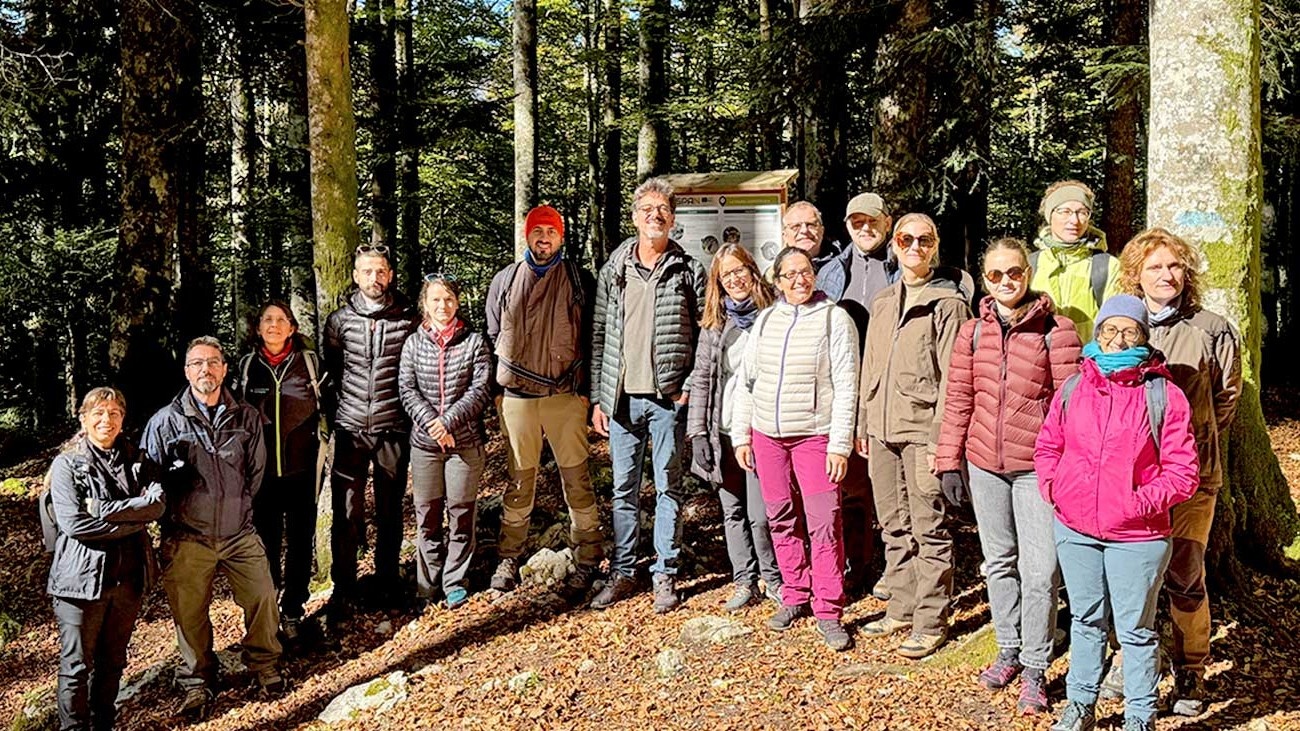 Cansiglio Forest: European Projects Compared for Biodiversity