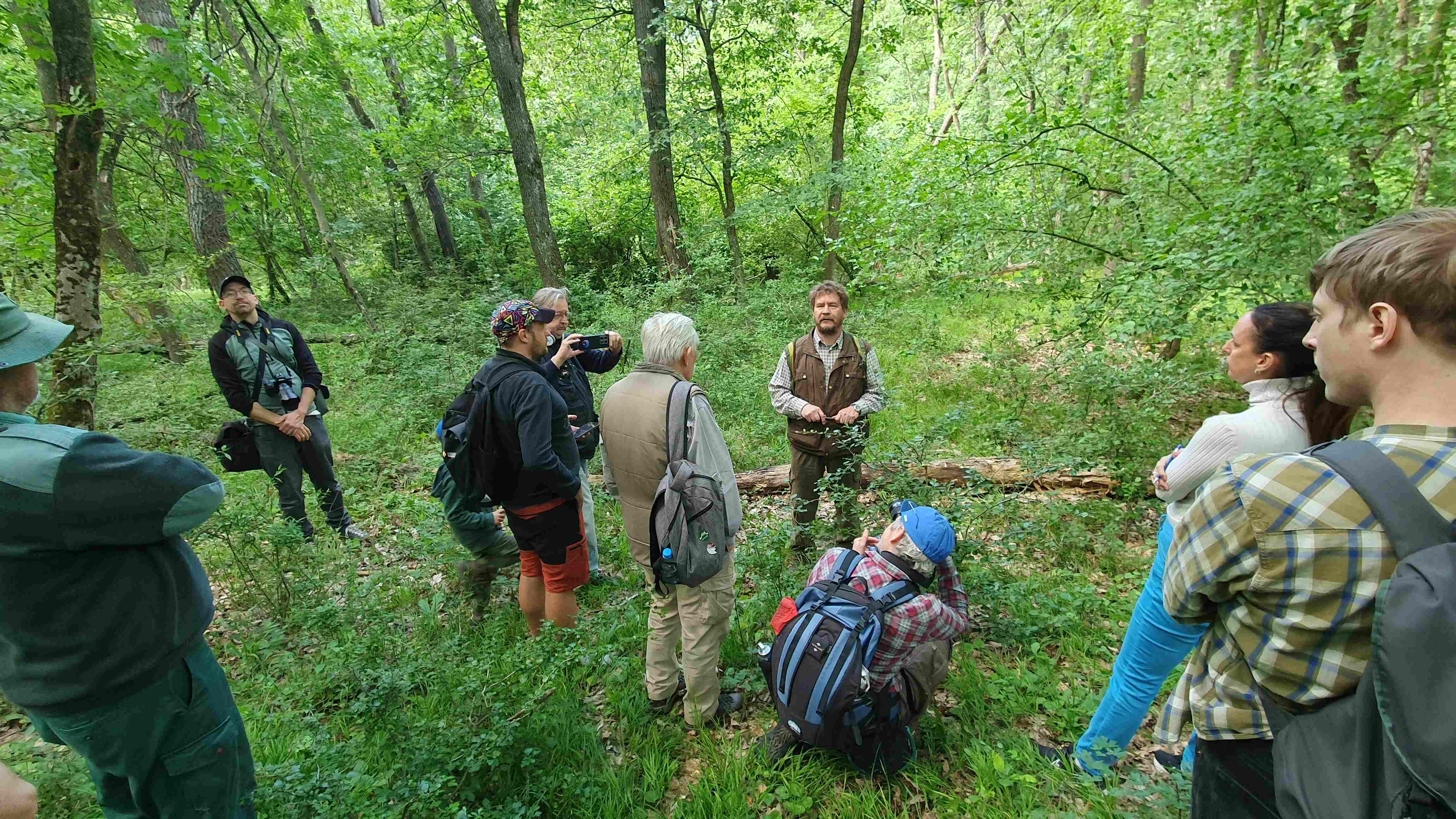 Following the Path of Natural Forests